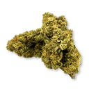Pure CBG Ökopack Blüten Lucky Hemp