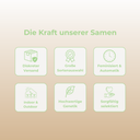 Pure CBG Samen Feminisiert Samen Lucky Hemp