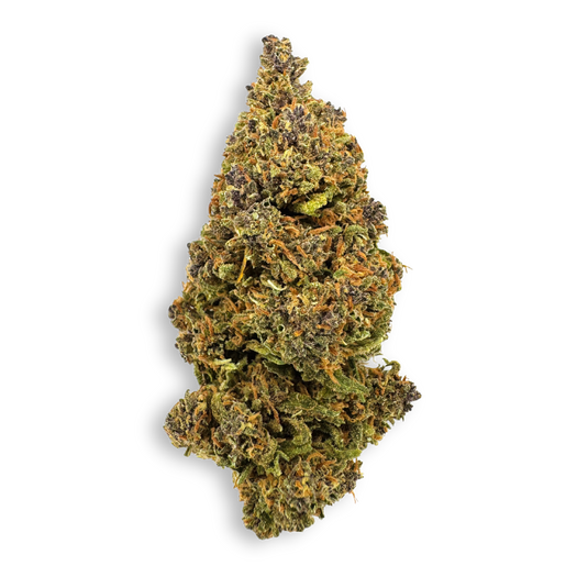 Purple Lemon Ökopack Blüten Lucky Hemp