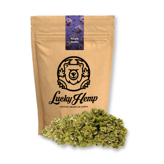 Purple Muffin Ökopack Blüten Lucky Hemp