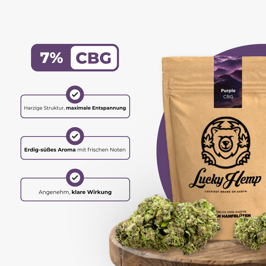 Purple CBG Ökopack Blüten Lucky Hemp