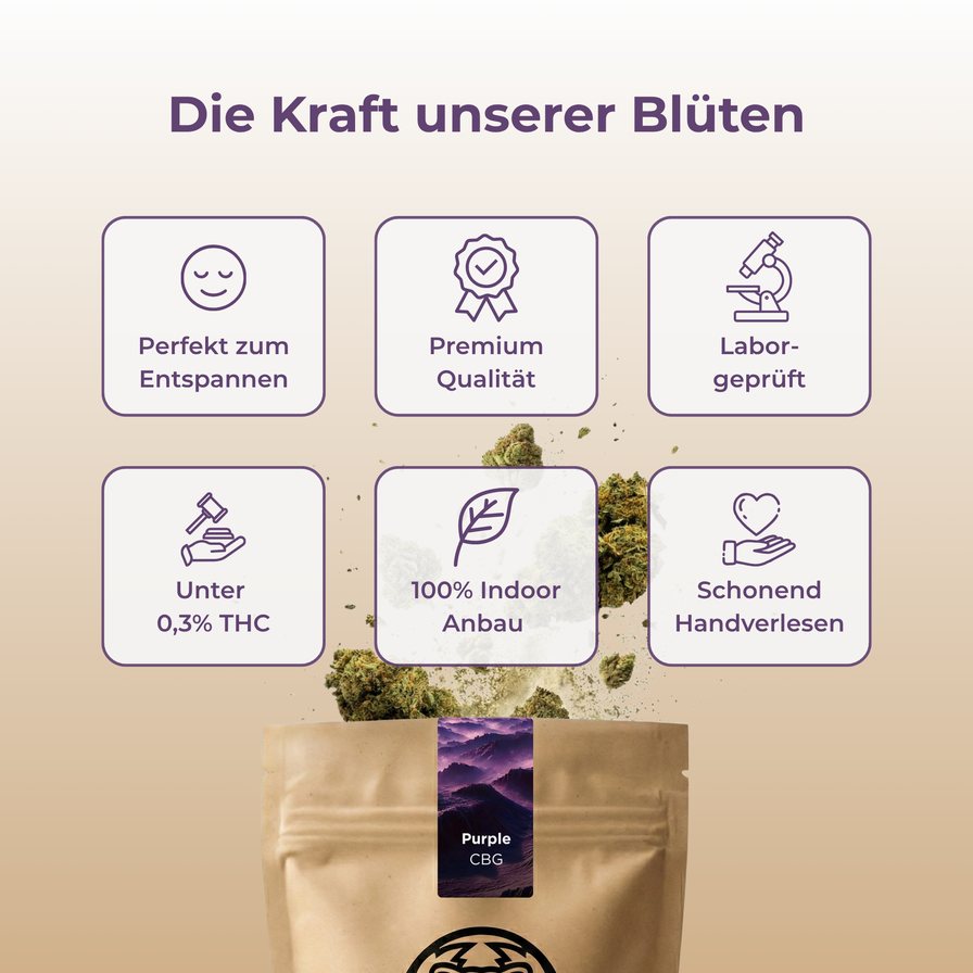 Purple CBG Ökopack Blüten Lucky Hemp