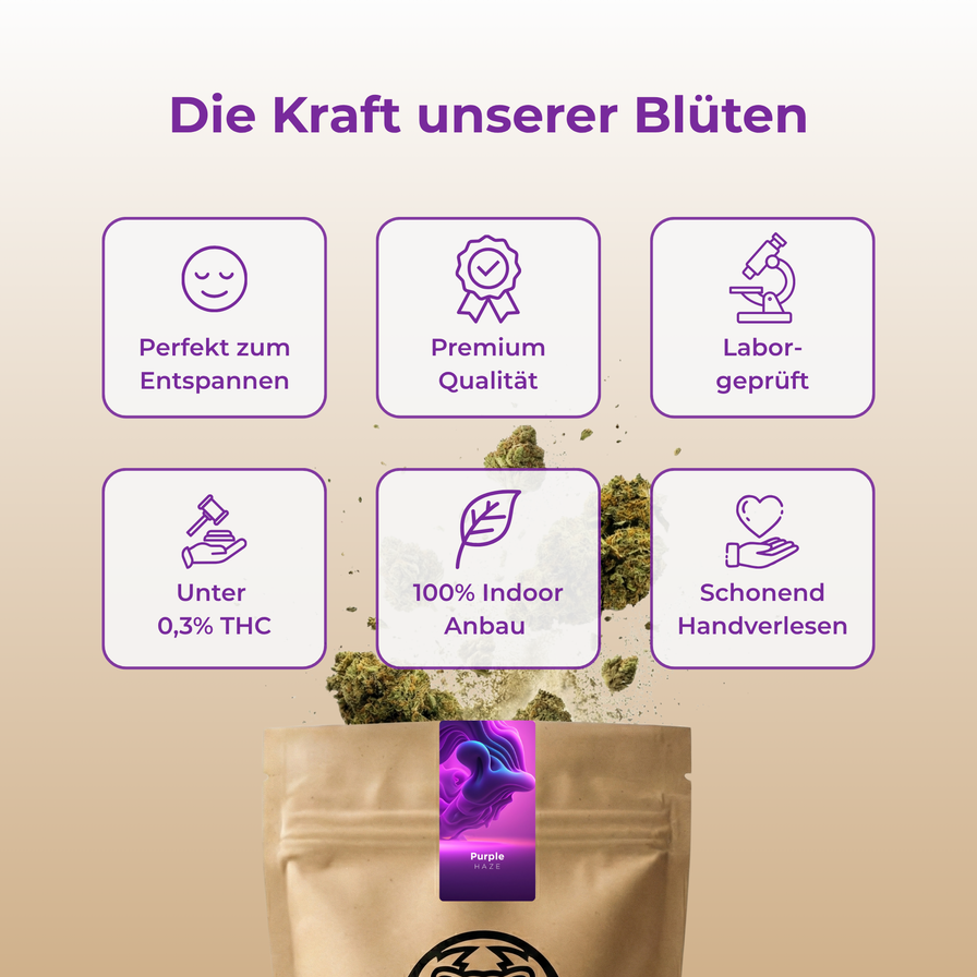 Purple Haze Ökopack Blüten Lucky Hemp