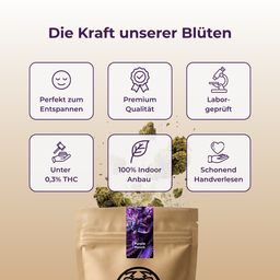 Purple Punch Ökopack