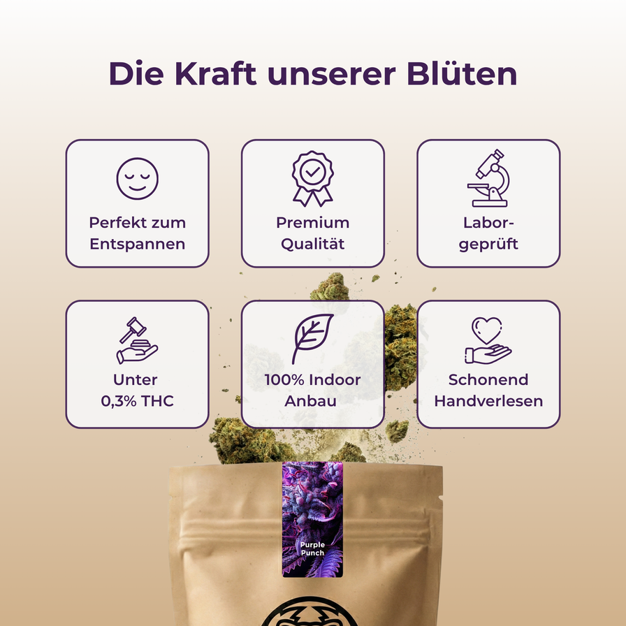 Purple Punch Ökopack