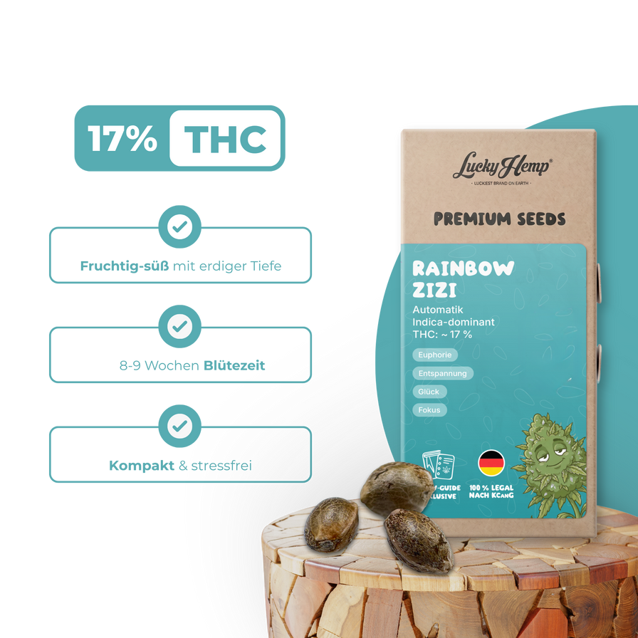 Rainbow Zizi Samen Automatik Samen Lucky Hemp
