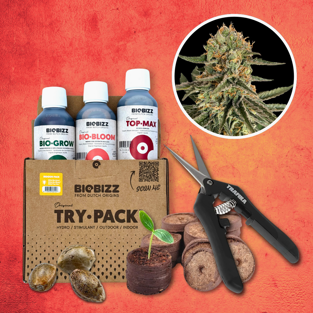 cannabis dünger starter set Grow Starter-Kit: THC