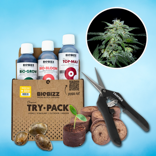 Grow Starter-Kit: CBD Samen Lucky Hemp