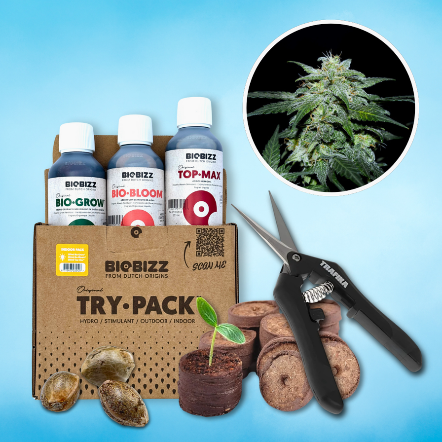 2 cannabis sorten im selben zelt Grow Starter-Kit: CBD