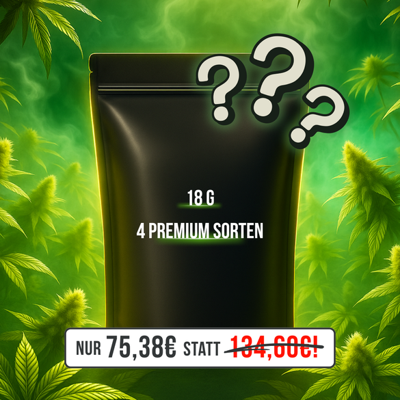 Lucky Mystery Tüte (L)