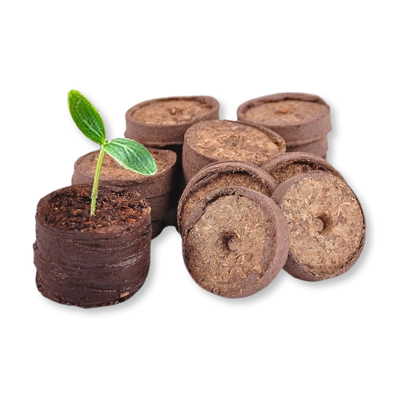 Jiffy Torfquelltöpfe Ø41mm Zubehör Lucky Hemp