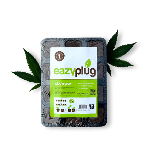 Eazy Plug 12er Tray Growzubehör Lucky Hemp