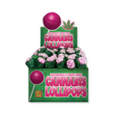 Dr. Greenlove Cannabis Lollipop Edibles Lucky Hemp Candy Kush