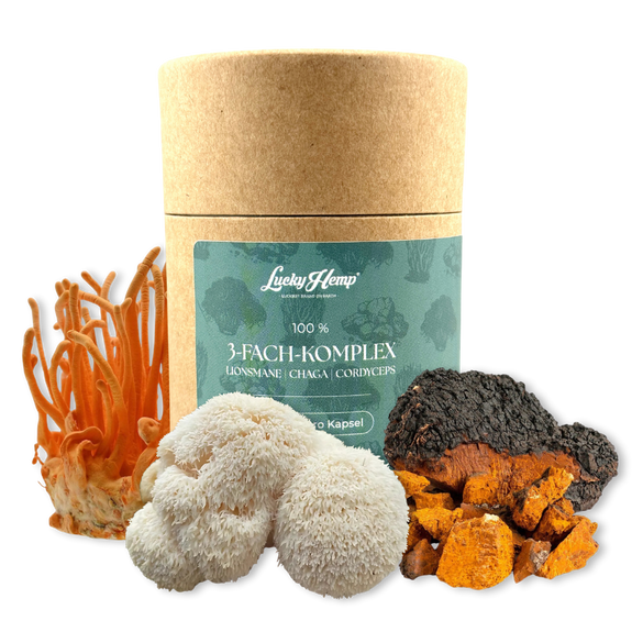 3-Fach-Komplex Vitalpilzextrakt Vitalpilze Lucky Hemp