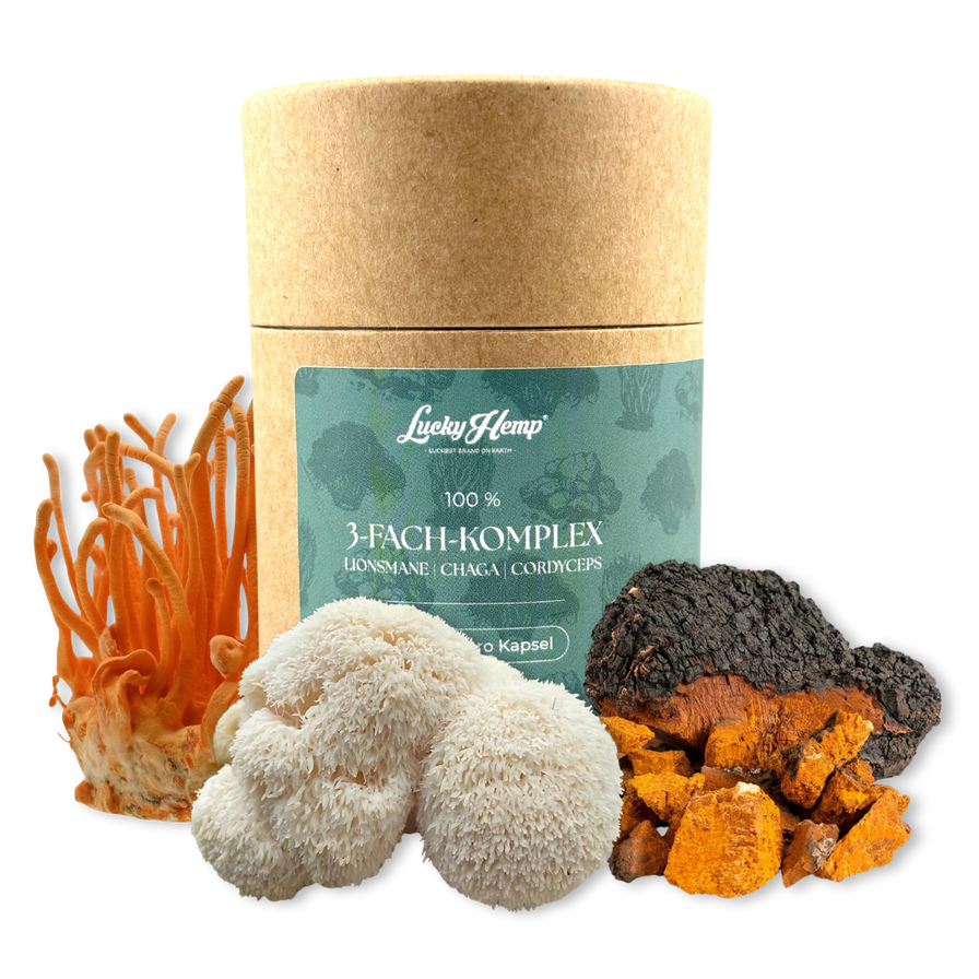 3-Fach-Komplex Vitalpilzextrakt Vitalpilze Lucky Hemp