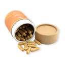 Lionsmane Vitalpilzextrakt Vitalpilze Lucky Hemp