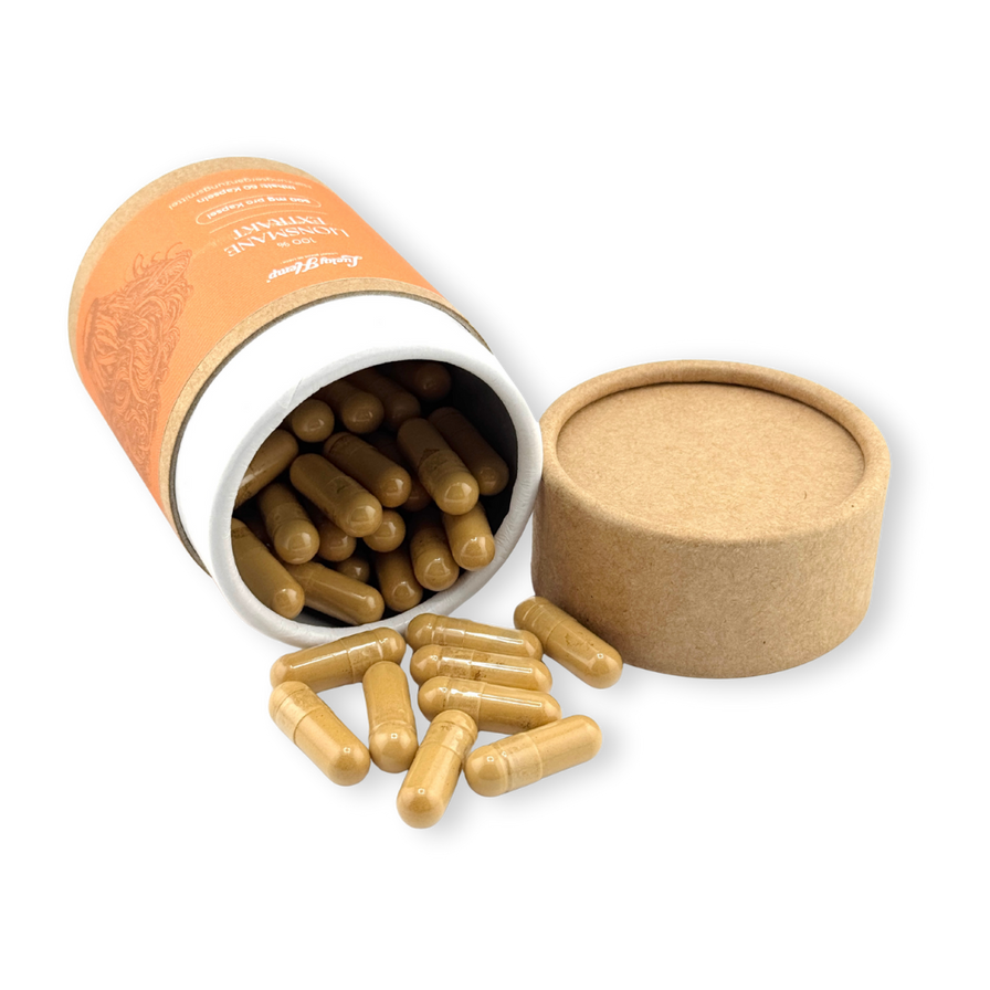 Lionsmane Vitalpilzextrakt Vitalpilze Lucky Hemp