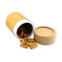 Cordyceps Vitalpilzextrakt Vitalpilze Lucky Hemp
