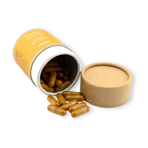 Cordyceps Vitalpilzextrakt Vitalpilze Lucky Hemp