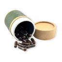 Chaga Vitalpilzextrakt Vitalpilze Lucky Hemp
