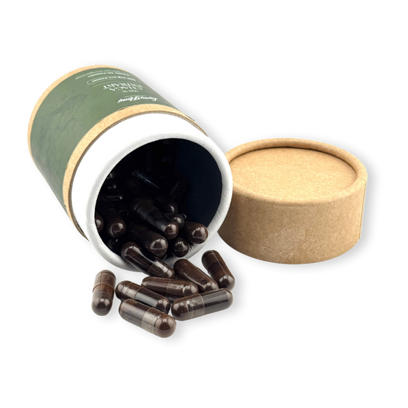 Chaga Vitalpilzextrakt Vitalpilze Lucky Hemp