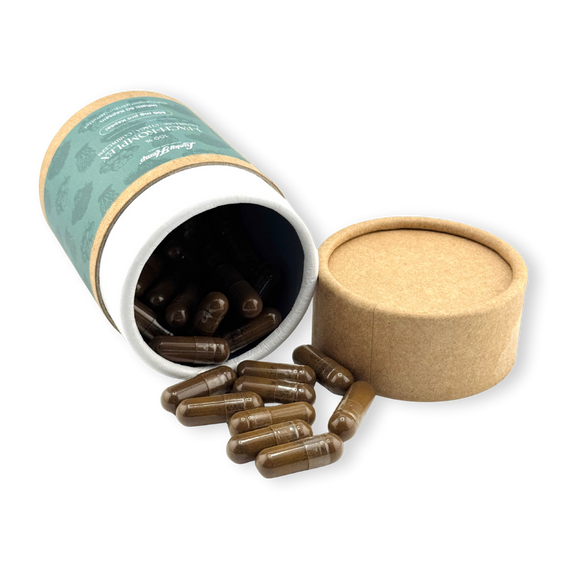 3-Fach-Komplex Vitalpilzextrakt Vitalpilze Lucky Hemp