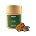 Chaga Vitalpilzextrakt Vitalpilze Lucky Hemp