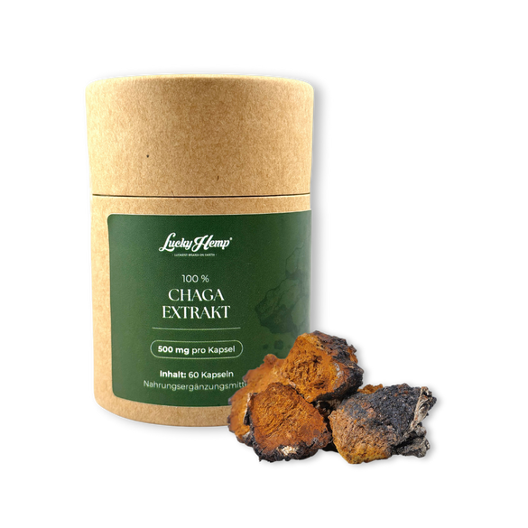 Chaga Vitalpilzextrakt Vitalpilze Lucky Hemp