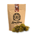 Orange Skunk Ökopack Blüten Lucky Hemp