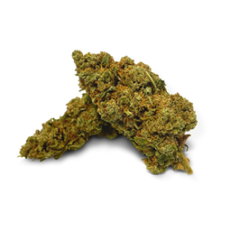 Super Lemon Haze Ökopack Blüten Lucky Hemp   