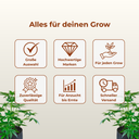 BloomStar Horti Pro Thermo-Hygrometer Growzubehör Lucky Hemp