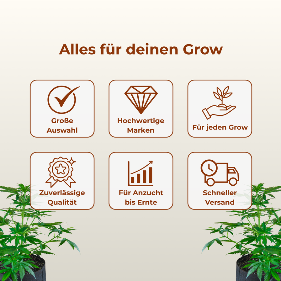 BloomStar Horti Pro Thermo-Hygrometer Growzubehör Lucky Hemp