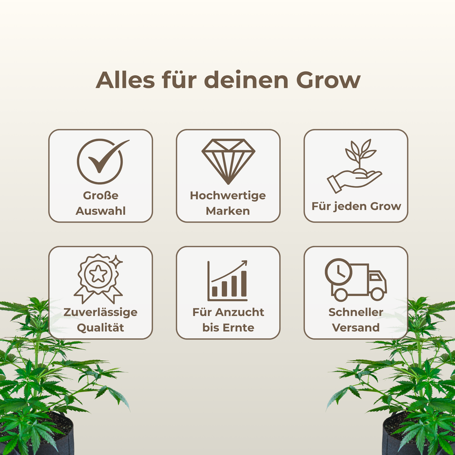 Jiffy Torfquelltöpfe Ø41mm Growzubehör Lucky Hemp