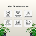 Trafika Ernte Schere Growzubehör Lucky Hemp