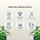 Trafika Lüfter + Aktivkohlefilter Growzubehör Lucky Hemp