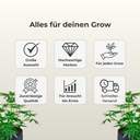 Trafika Kit Digital 600 W Growzubehör Lucky Hemp