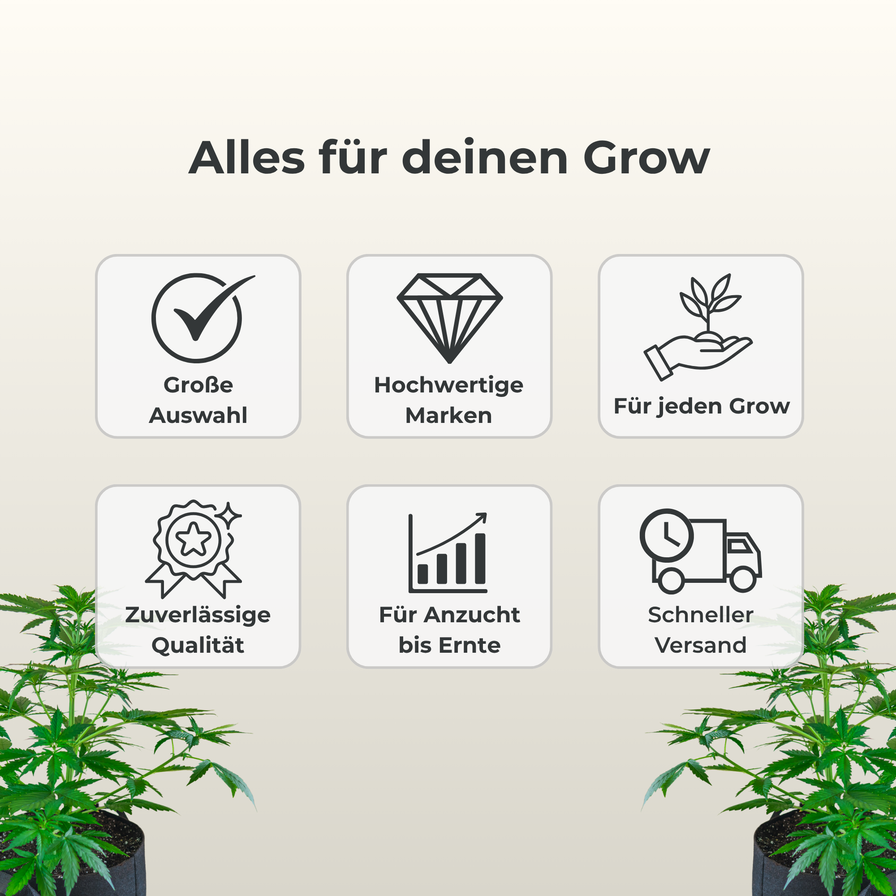 Trafika Kit Digital 600 W Growzubehör Lucky Hemp