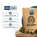 Sparfuchs-Bundle Blüten Lucky Hemp