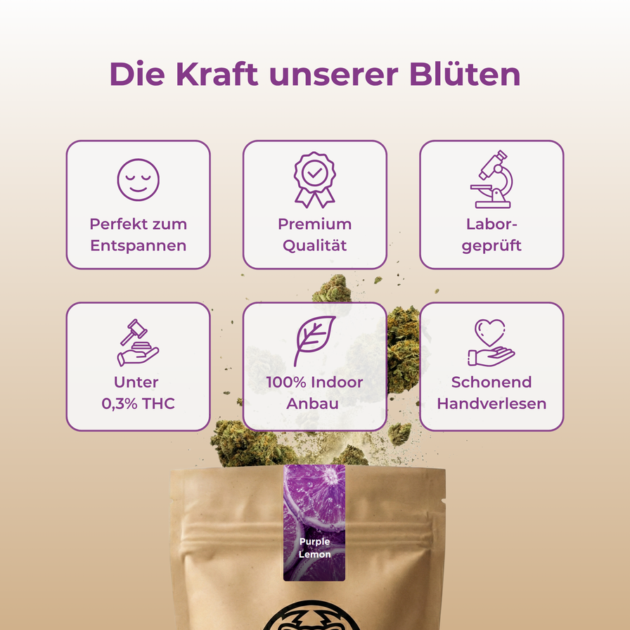 Purple Lemon Ökopack Blüten Lucky Hemp