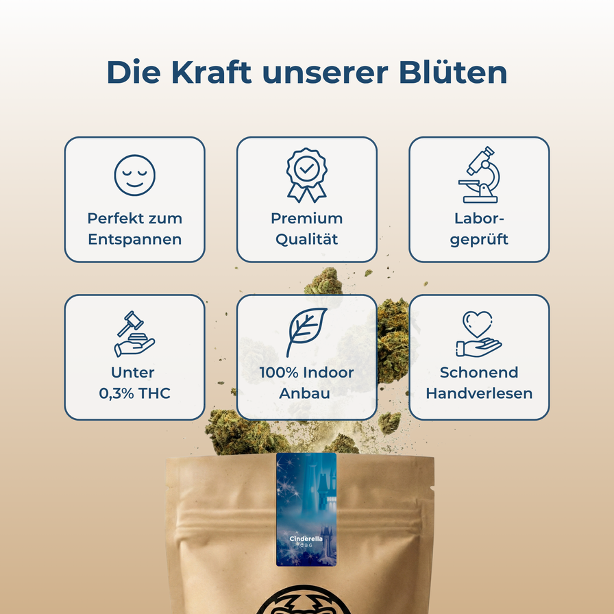 Cinderella CBG Ökopack Blüten Lucky Hemp