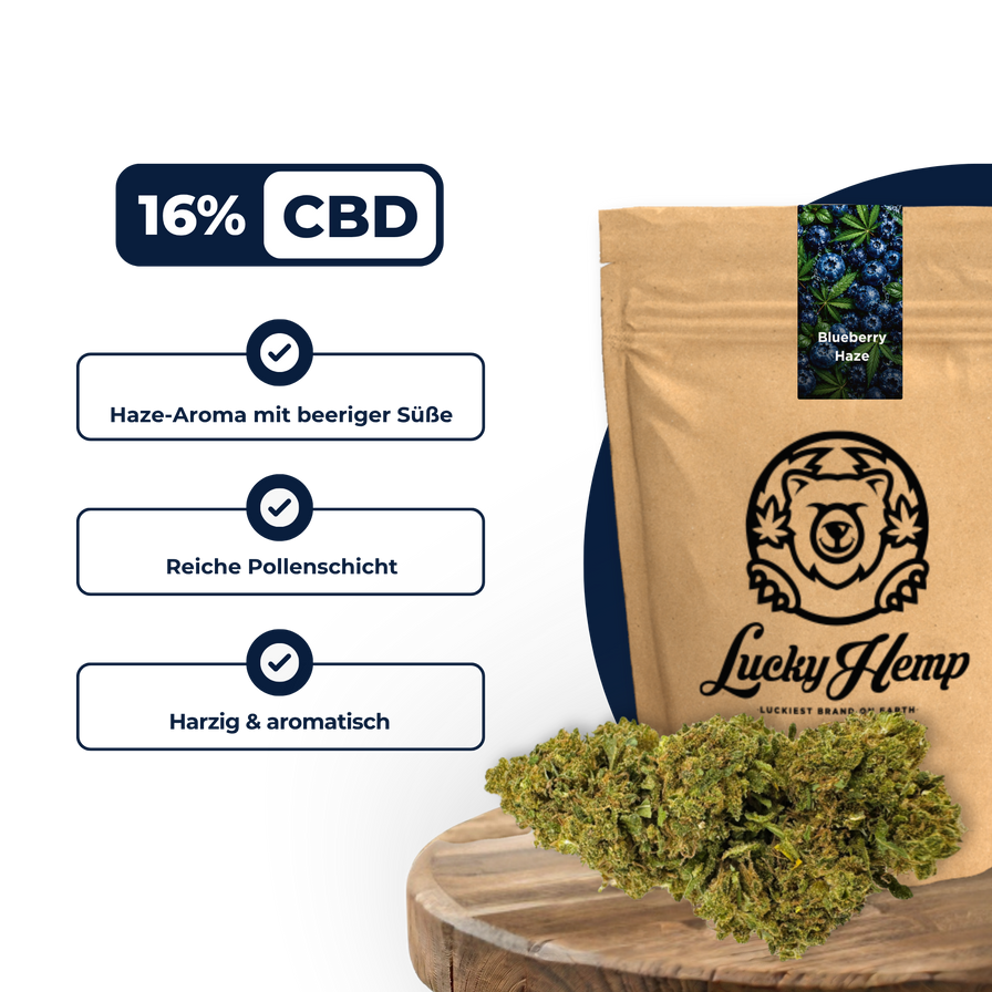 Blueberry Haze Ökopack Blüten Lucky Hemp