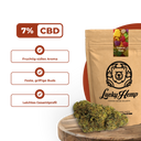 Tropical Haze Ökopack Blüten Lucky Hemp