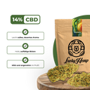 Tropicana Ökopack Blüten Lucky Hemp