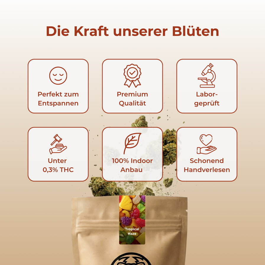 Tropical Haze Ökopack Blüten Lucky Hemp