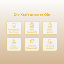 10% CBD Öl Vollspektrum MCT
