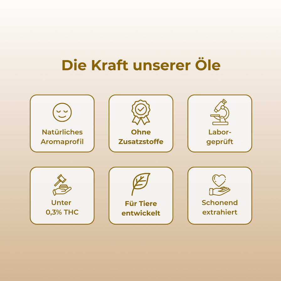 Lachs CBD-Öl Öle Lucky Hemp