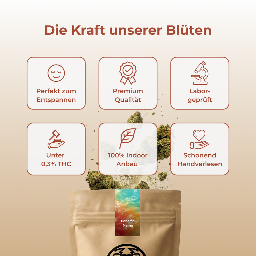 Bahama Mama Ökopack Blüten Lucky Hemp