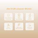 10% CBD-Öl Vollspektrum Öle Lucky Hemp