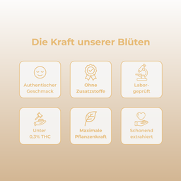 10% CBD-Öl Vollspektrum Öle Lucky Hemp