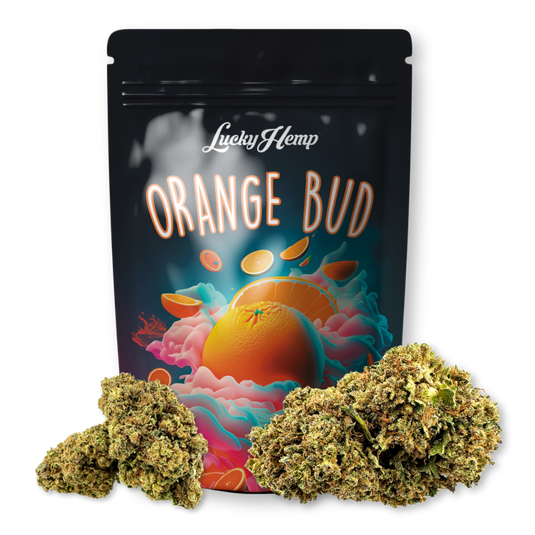 Orange Bud 3,5g Limited Pack Blüten Lucky Hemp